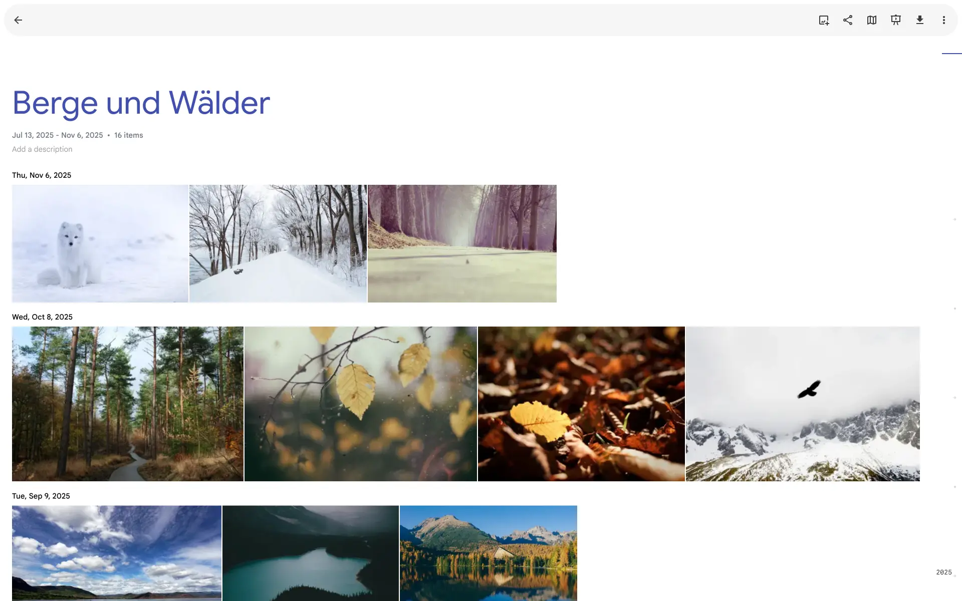 Immich, screenshot 3